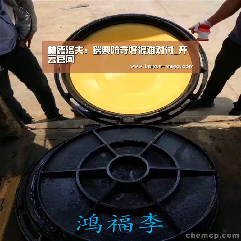林德洛夫:瑞典防守好很难对付_开云官网(图3) 开云推荐